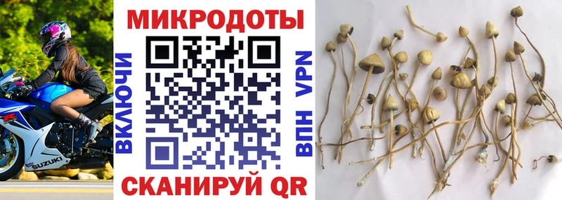 наркота  Москва  Галлюциногенные грибы прущие грибы 