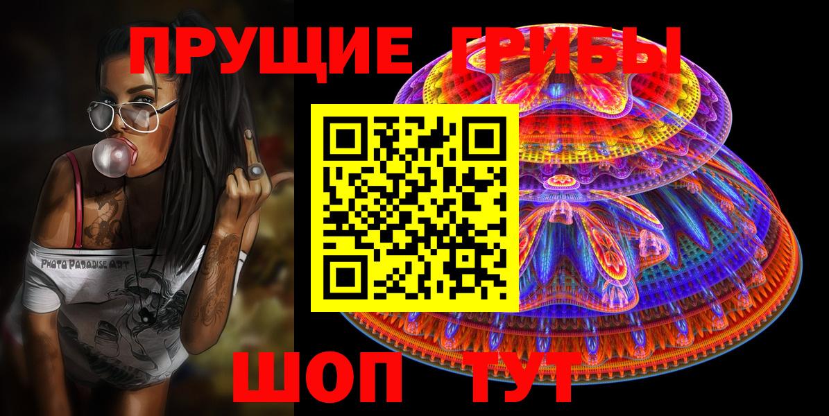 Псилоцибиновые грибы Psilocybe Москва
