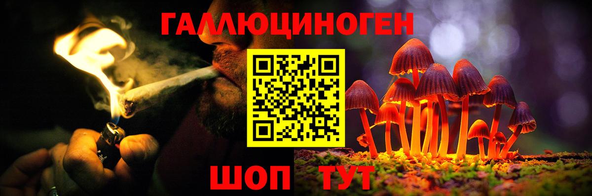 Москва  Псилоцибиновые грибы GOLDEN TEACHER  Вход с VPN  Псилоцибиновые грибы ЛСД 